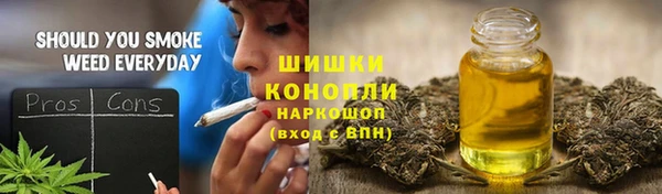PSILOCYBIN Лагань