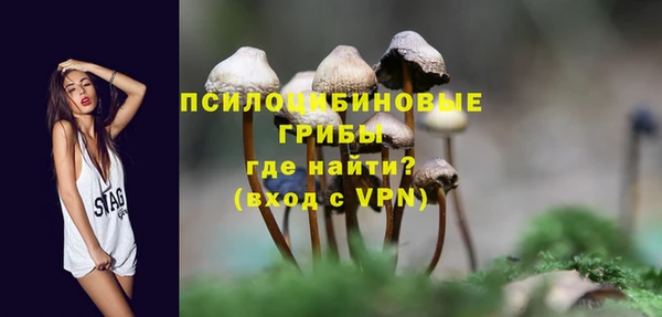 мдпв Лиски