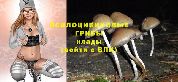 мдпв Лиски