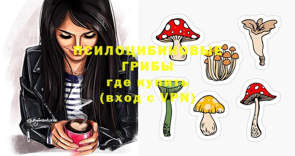 мдпв Лиски