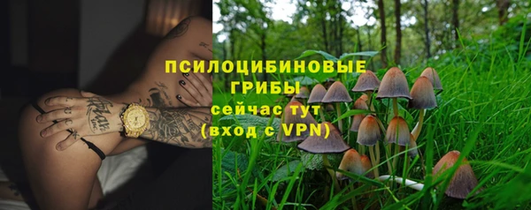 мдпв Лиски